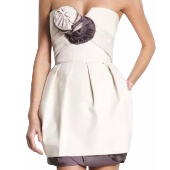 BCBGMaxAzria Dresses & Skirts - BCBGMaxazria Limited Edition Runway mini dress